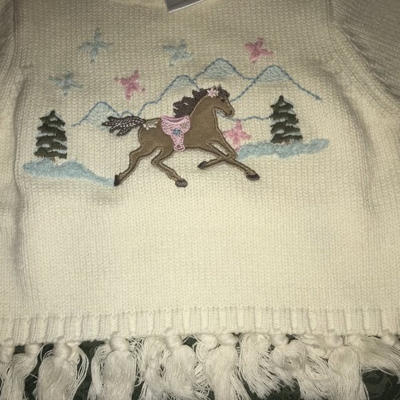 Gymboree Other - NWT Gymboree park city fringe horse sweater 3-6 M